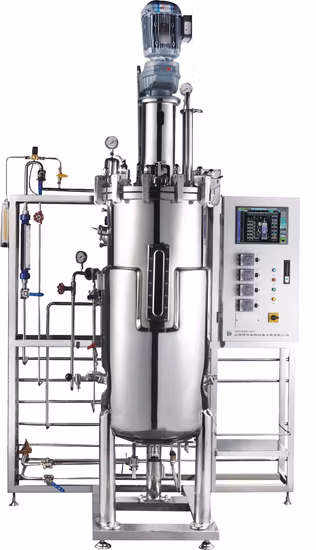 Machine automatique d'équipement de système de stérilisation indépendante de réacteur enzymatique d'acier inoxydable